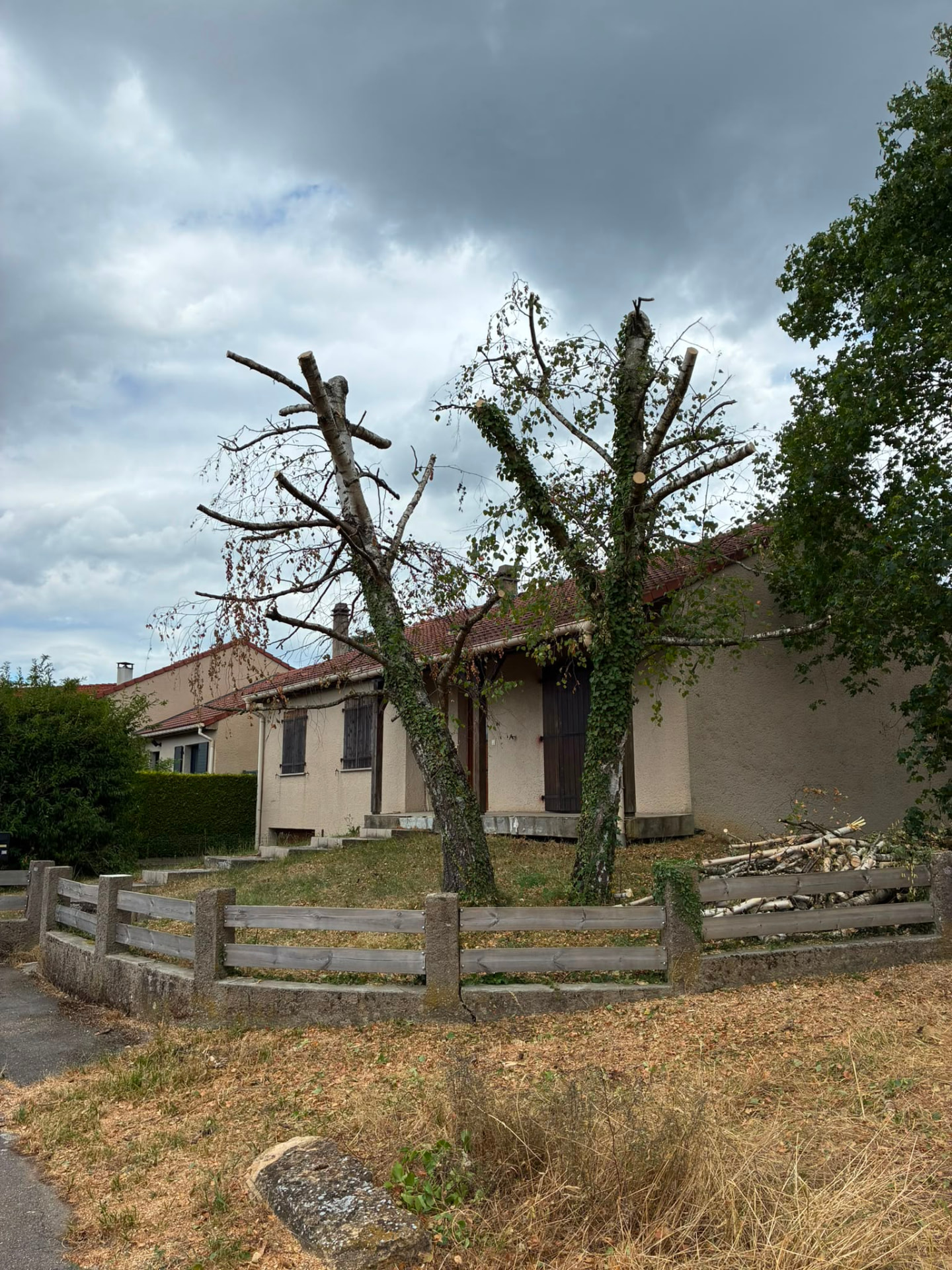 Chantier d'élagage avec échelle et bois coupé empilé